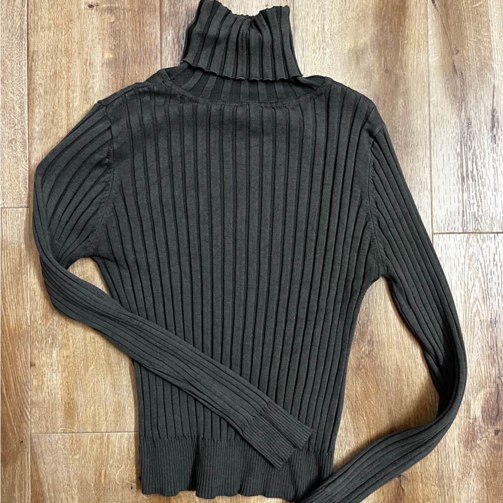 Zara Turtleneck Sweater
